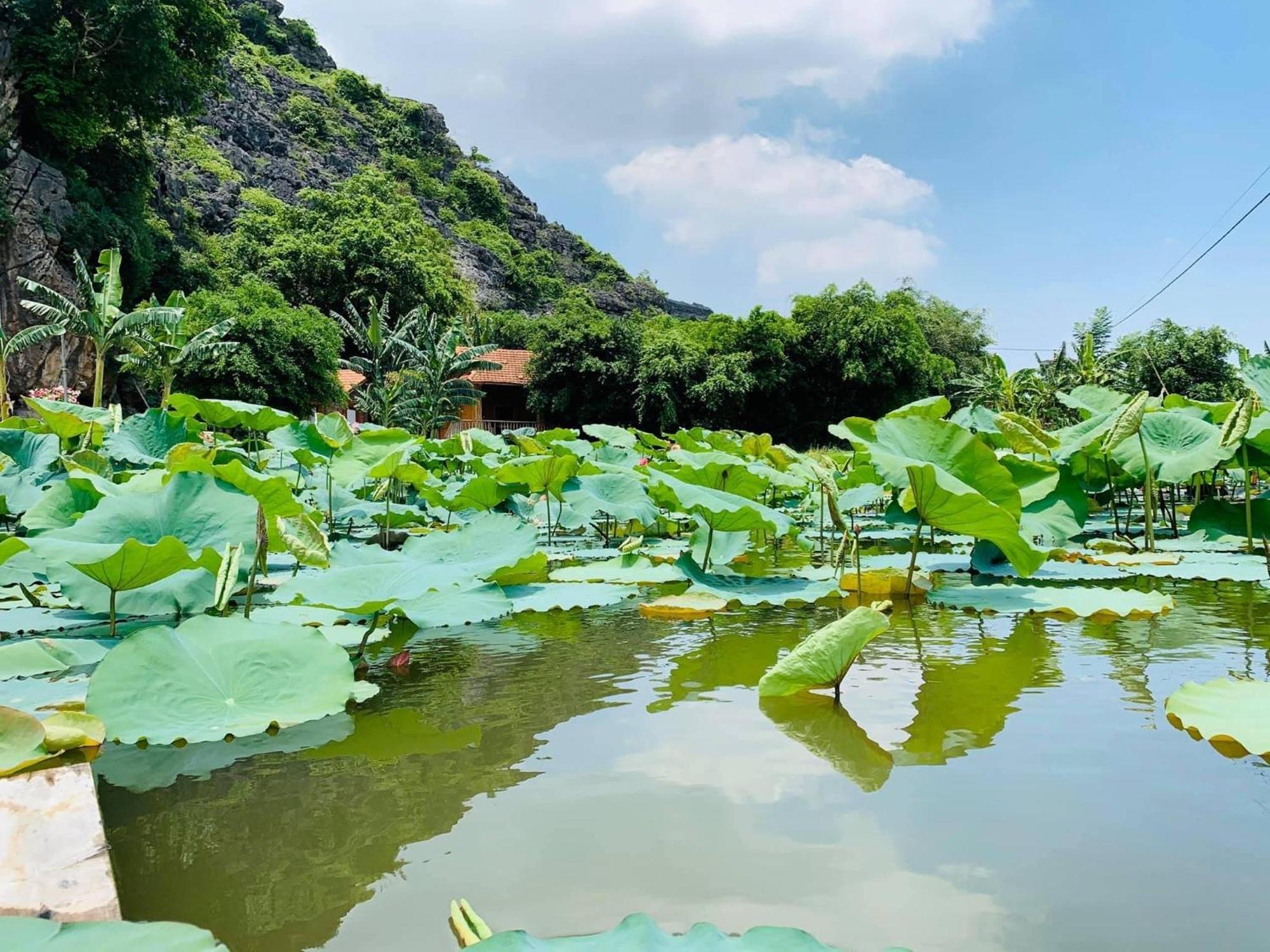 Lake Retreat נין בין מראה חיצוני תמונה